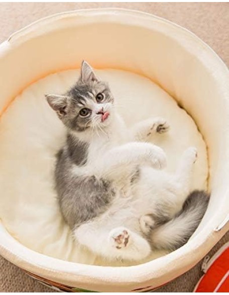 Noodle Dog Bed Cat Bed Pet Sofa,Keep Warm and Super Soft Creative Pet Nest,Waterproof Bottom Round Pet Bed for Small Cats and Small Dogs Removable Washable Cushion (Braised Beef Noodles)