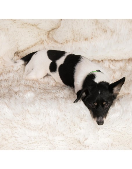 Waterproof Dog Blanket 50" x60'' - Pup Protector Waterproof Throw Blanket Cover for Couch, Bed, Mattress or Any Furniture