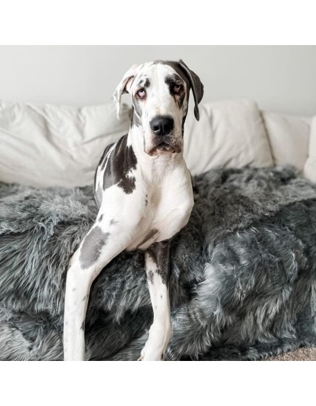 PupProtector Waterproof Throw Blanket for Dogs and Cats, Pet Blanket Cover for Couches, Sofas, Beds, Car Seats, Furniture, Calming Soft Faux Fur, Charcoal Grey, Original (60" L x 50" W)
