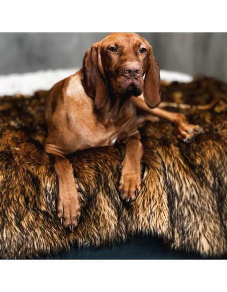 Waterproof Faux Fur Dog Blanket, Plush Throw for Sleeping and Comfort, Couch Cover for Dogs, Pet Bed, Sofa, Car, Furniture Protector with Soft, Stain Resistant Surface, Machine Washable 50x60