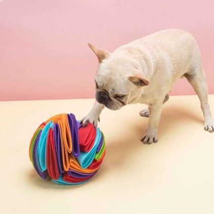 Dog Sniffing Ball Puzzle Toys